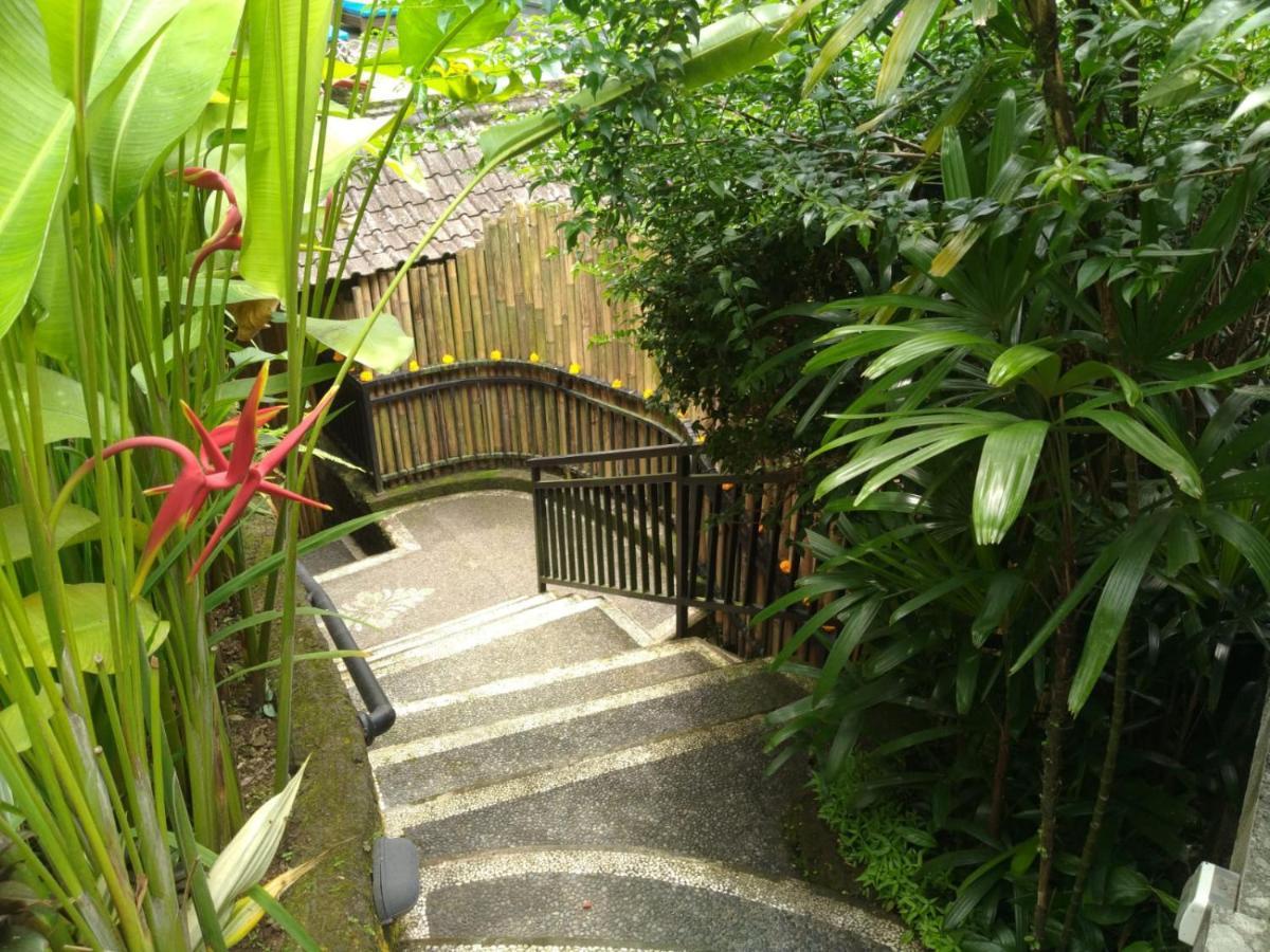 Rumah Kelinci 우붓 외부 사진