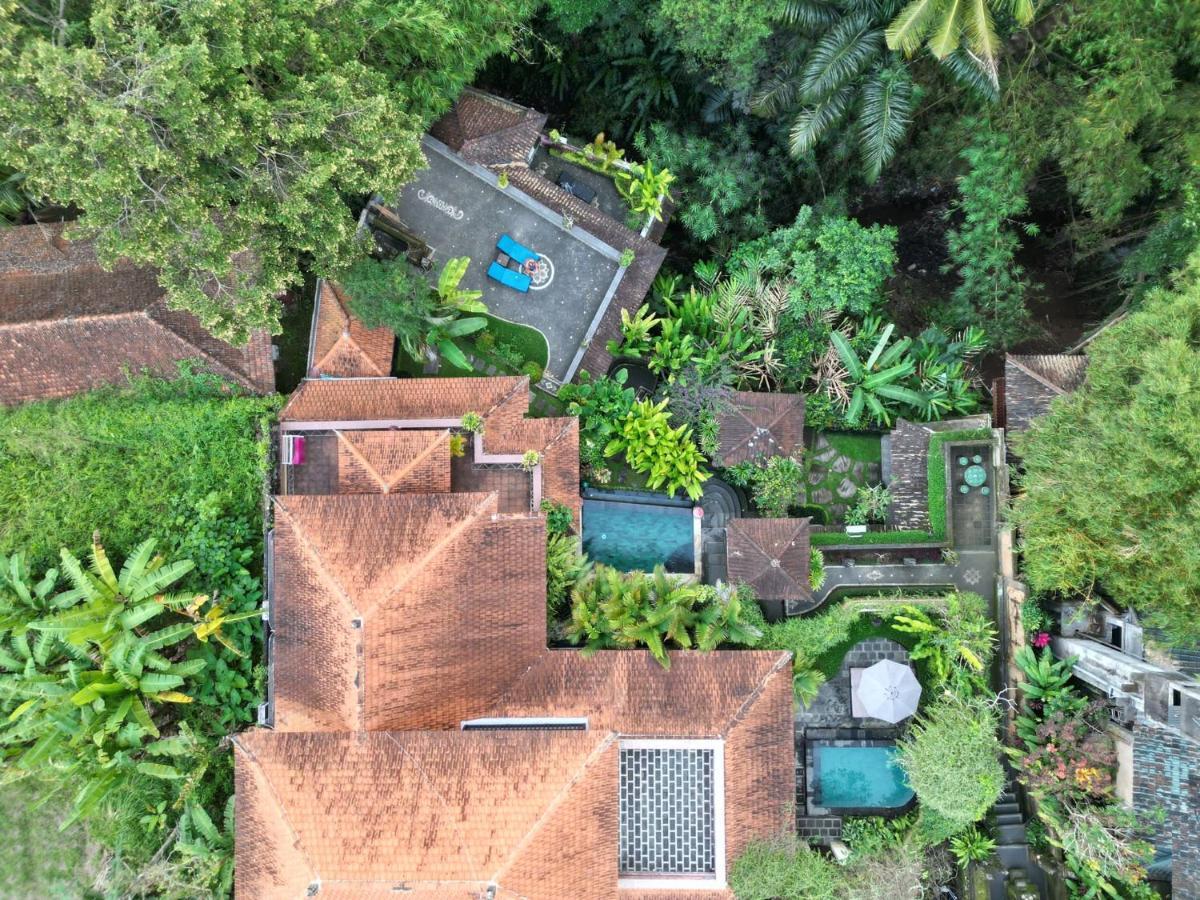 Rumah Kelinci 우붓 외부 사진