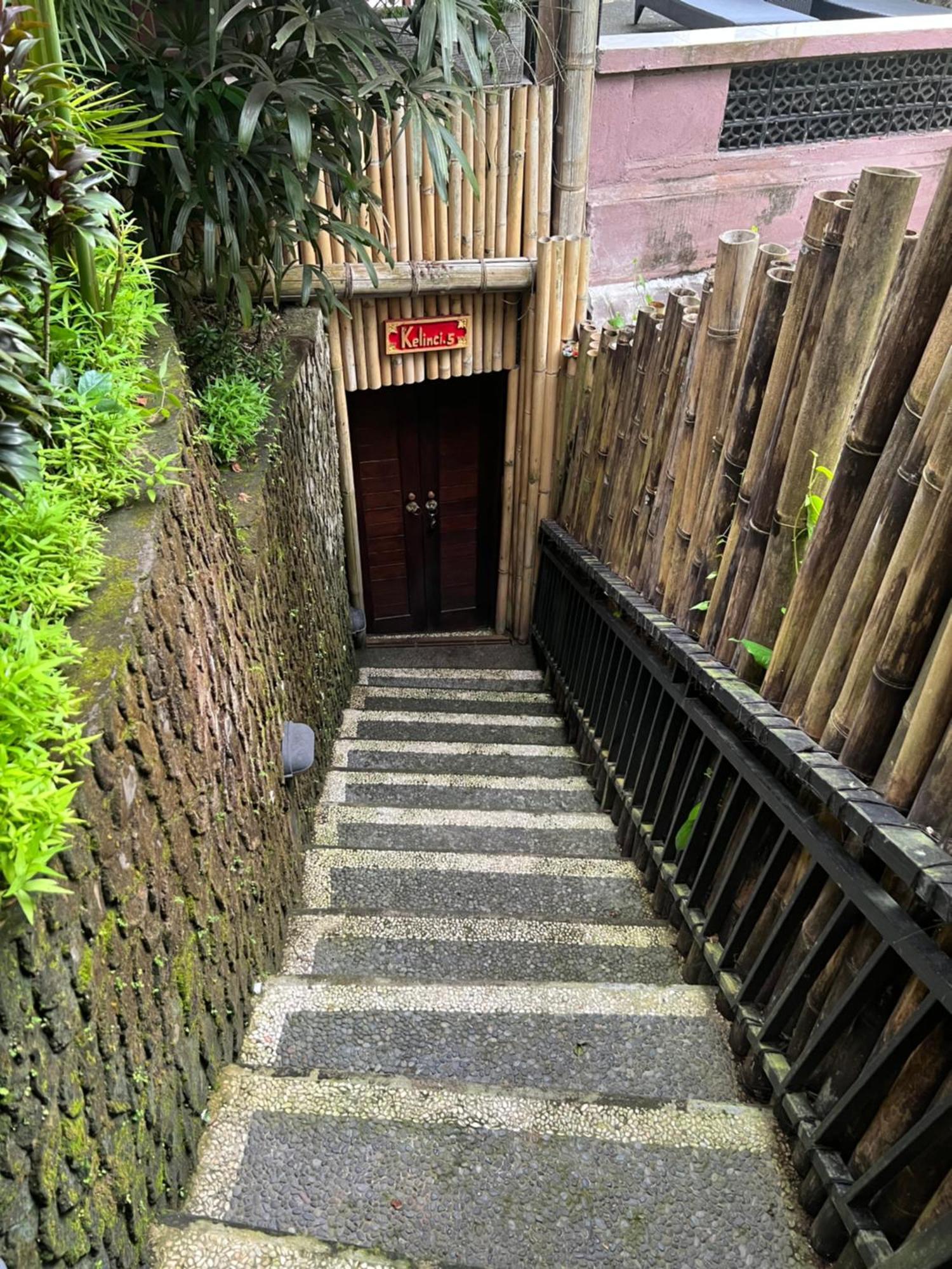 Rumah Kelinci 우붓 외부 사진
