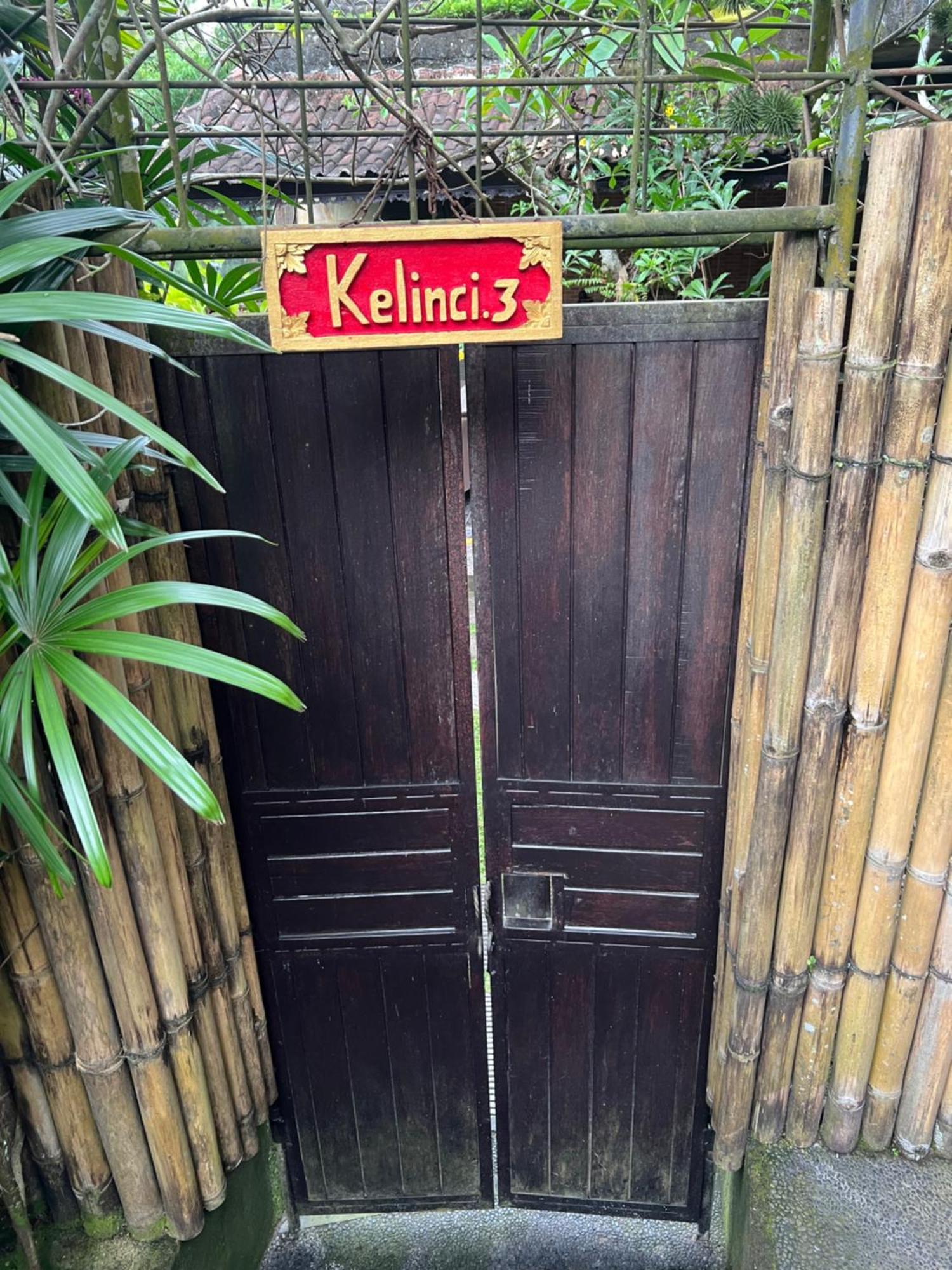 Rumah Kelinci 우붓 외부 사진